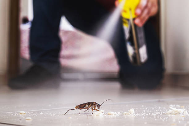 Reliable Chester, VA Pest Control Solutions