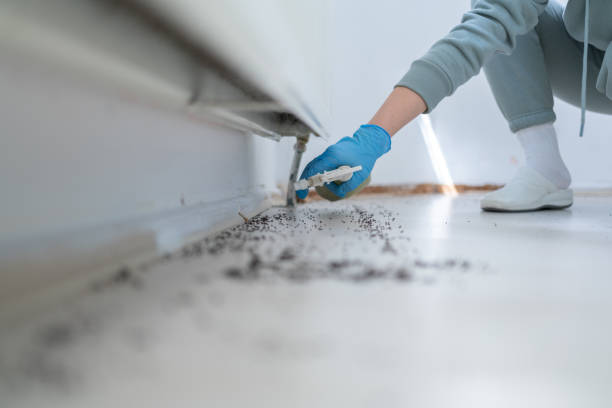 Pest Prevention Services in Chester, VA